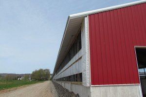 Steel Structure exterior for Dairy Farm